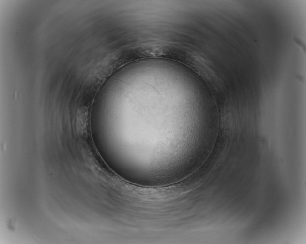 X0000101700030200807101547