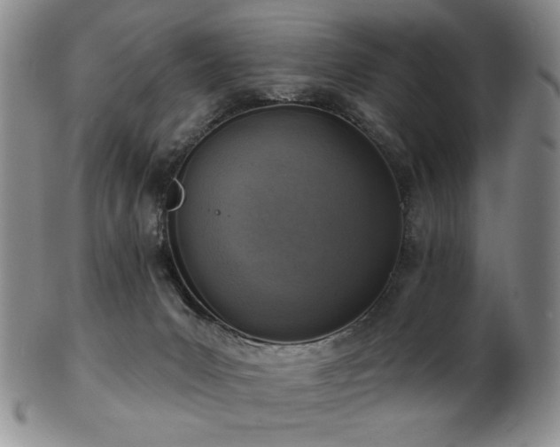 X0000101700031200807101547