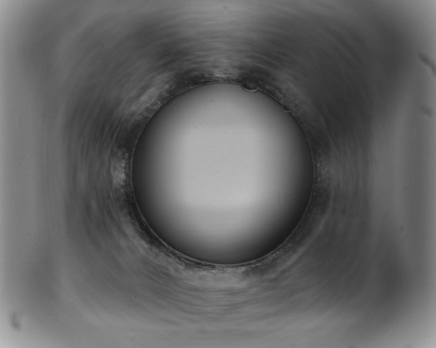 X0000101700032200807101547