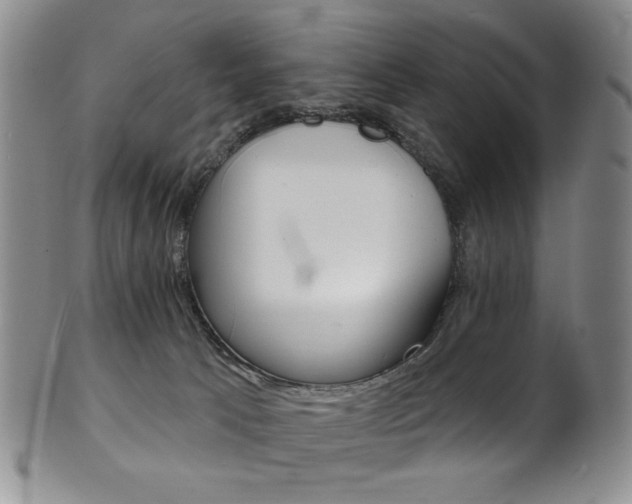 X0000101700033200807101547