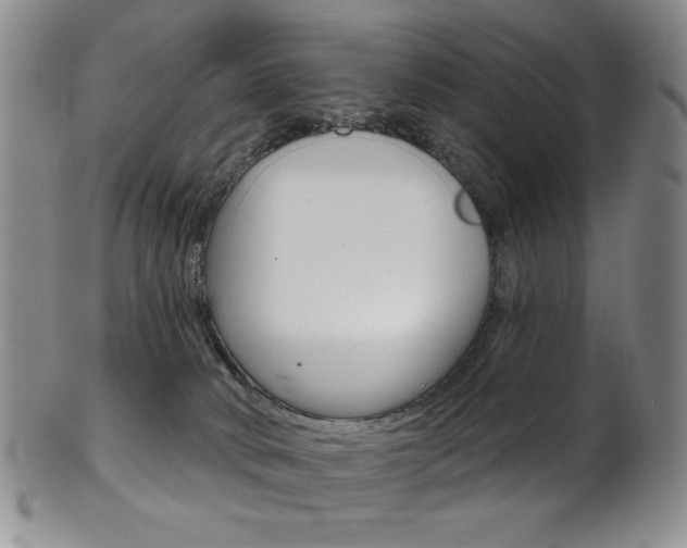 X0000101700034200807101547