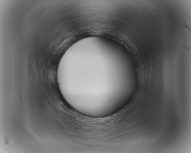 X0000101700035200807101547