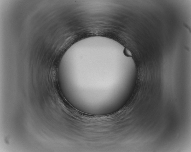 X0000101700036200807101547