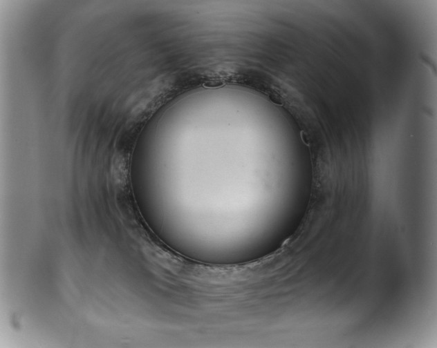 X0000101700037200807101547