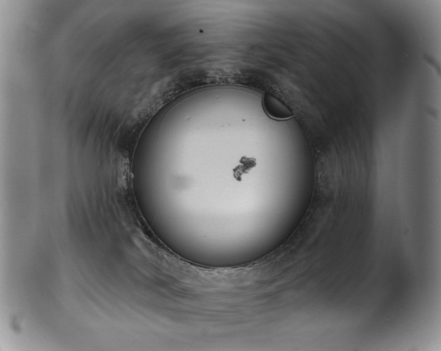 X0000101700038200807101547