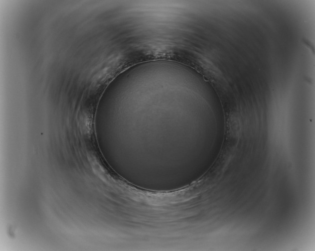 X0000101700039200807101547