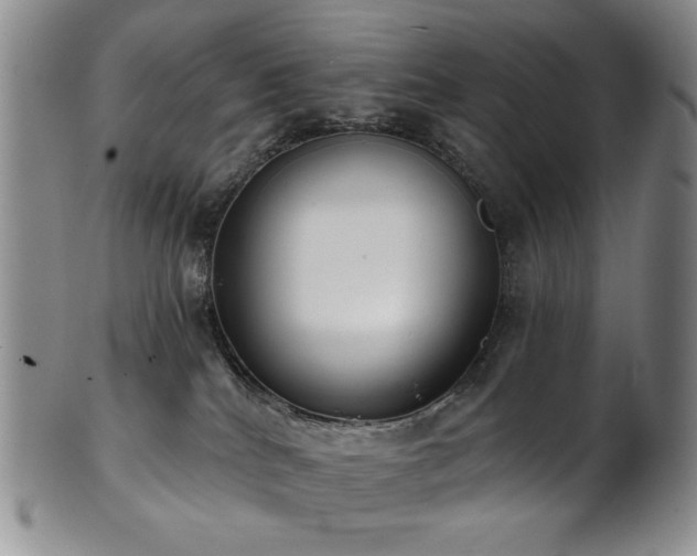 X0000101700040200807101547