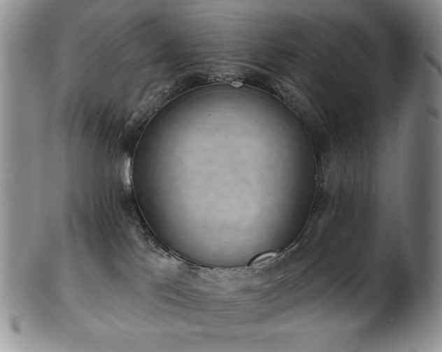 X0000101700041200807101547