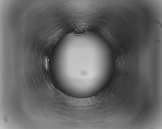 X0000101700042200807101547