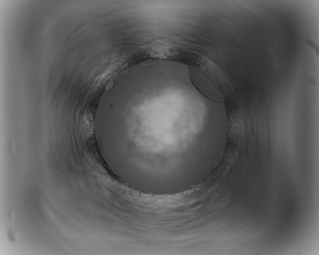 X0000101700043200807101547