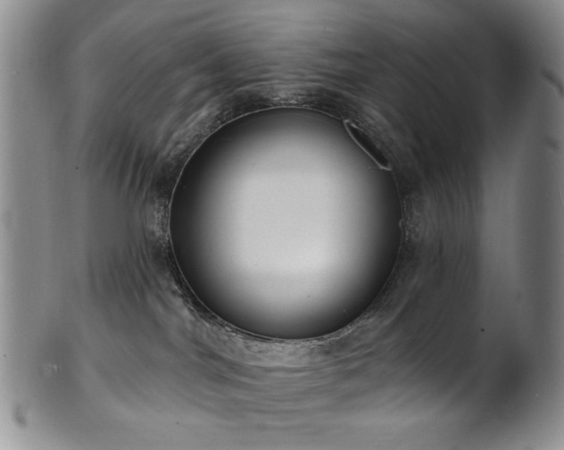 X0000101700044200807101547