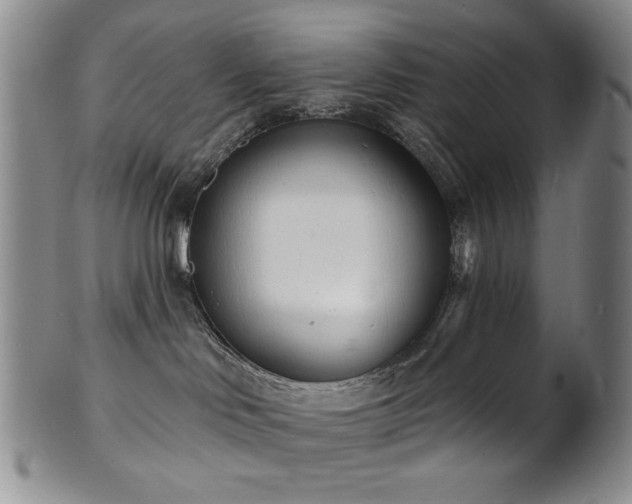 X0000101700046200807101547