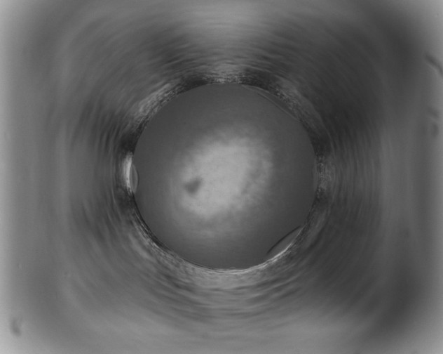 X0000101700047200807101547