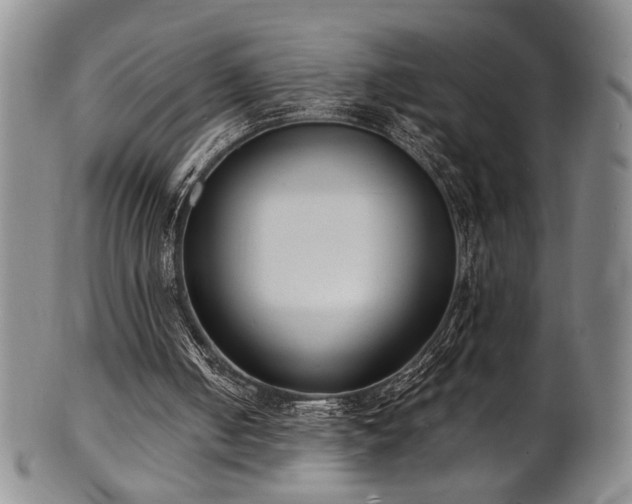 X0000101700050200807101546