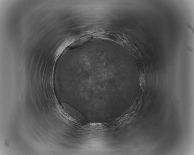 X0000101700052200807101546