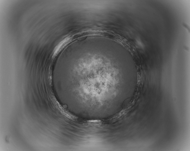 X0000101700053200807101546