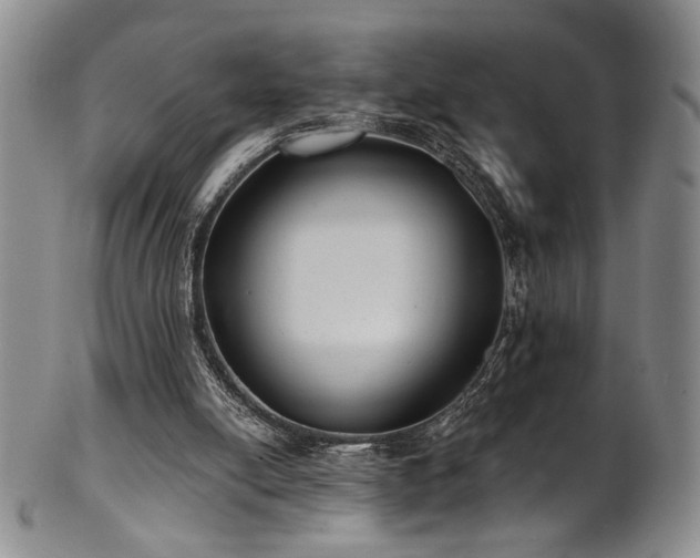 X0000101700054200807101546