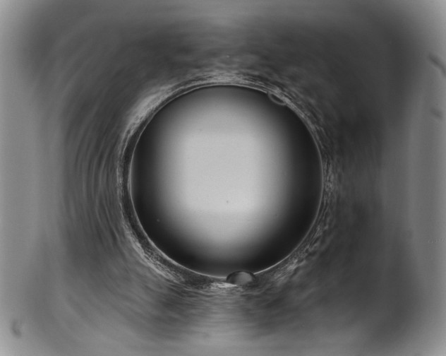X0000101700055200807101546
