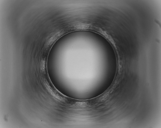 X0000101700057200807101546