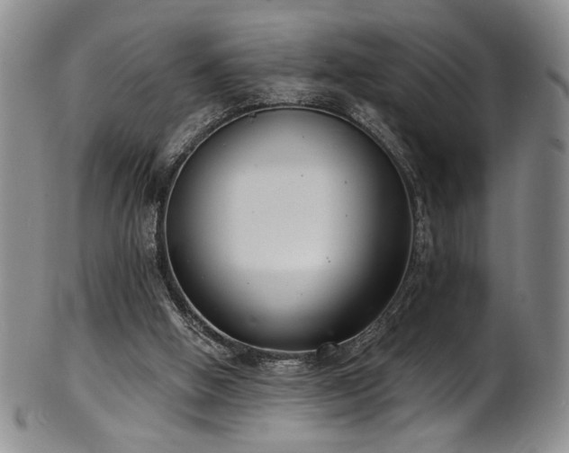 X0000101700058200807101546