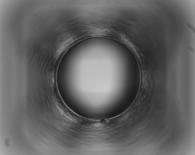 X0000101700059200807101546