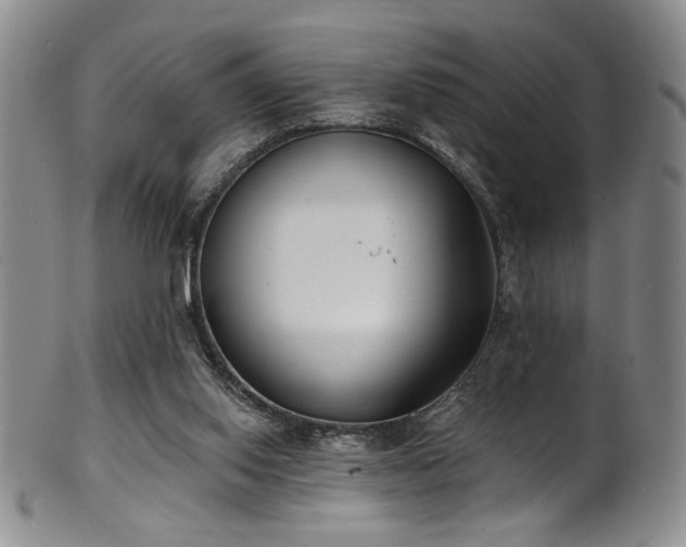X0000101700062200807101546
