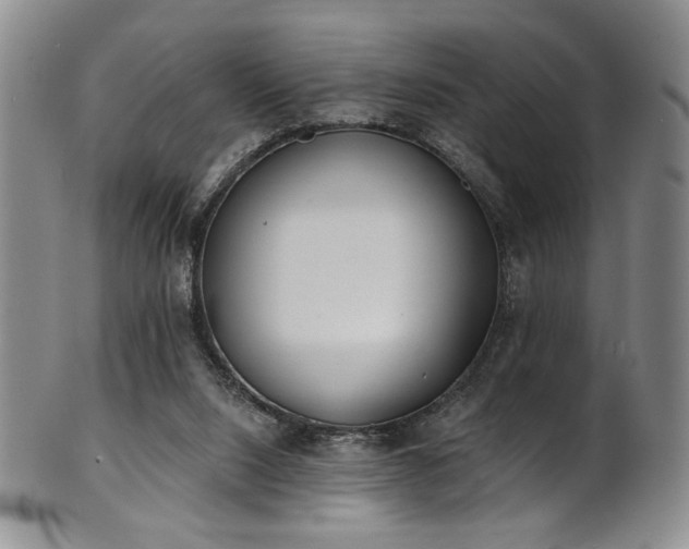 X0000101700064200807101546