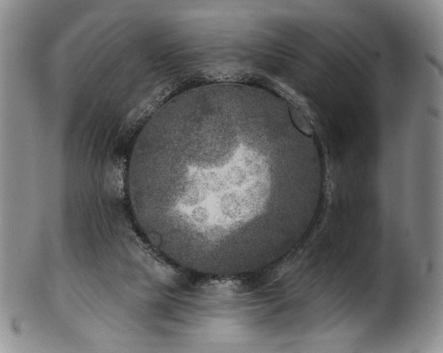 X0000101700065200807101546