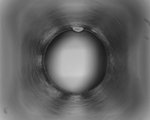 X0000101700066200807101547