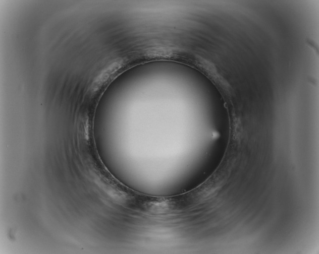 X0000101700068200807101547