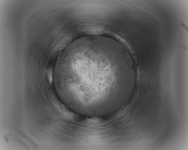 X0000101700069200807101547