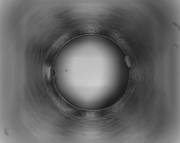 X0000101700070200807101547