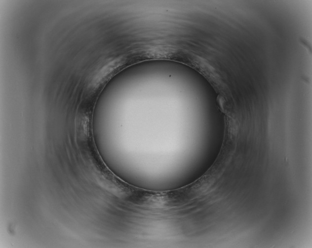 X0000101700071200807101547