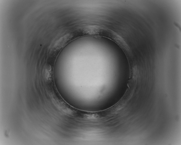 X0000101700073200807101547