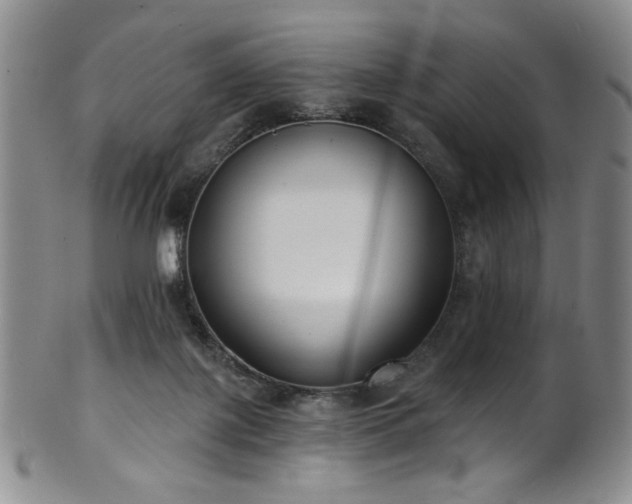 X0000101700075200807101547