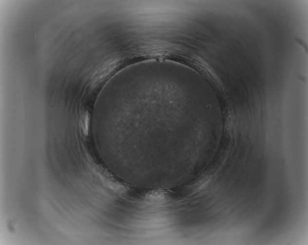 X0000101700076200807101547