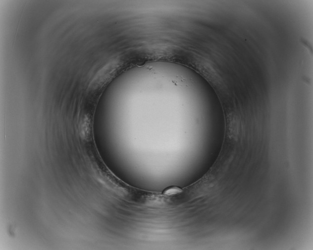 X0000101700077200807101547