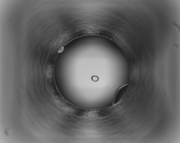 X0000101700078200807101547