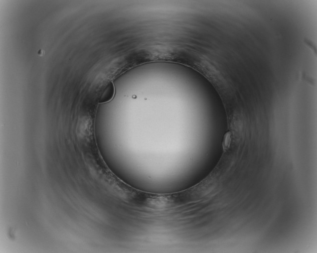 X0000101700079200807101547