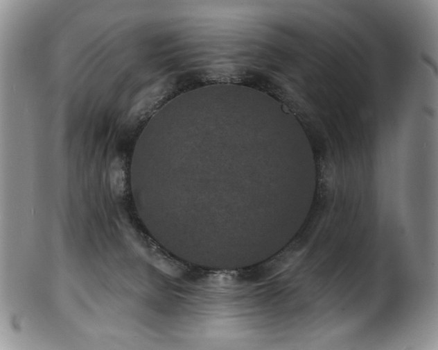 X0000101700080200807101547