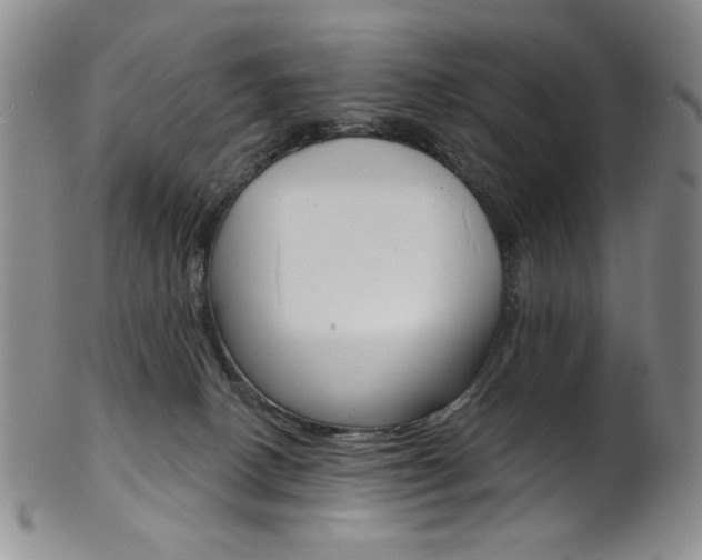 X0000101700082200807101547