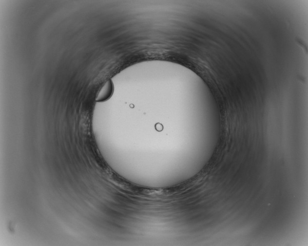 X0000101700083200807101547