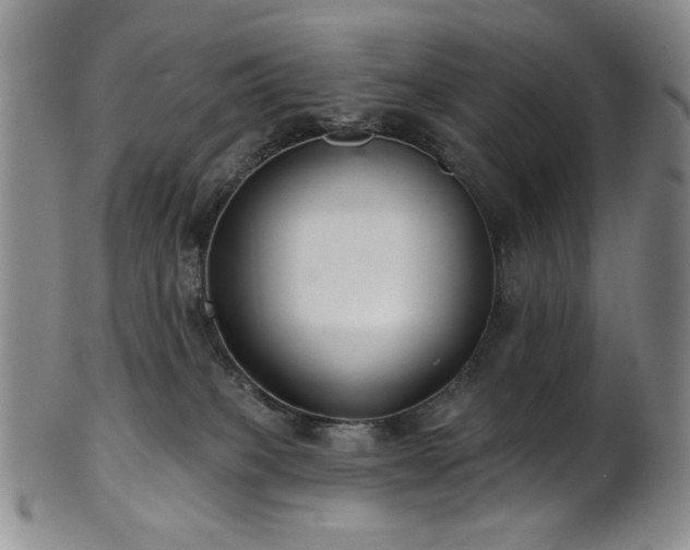 X0000101700085200807101547