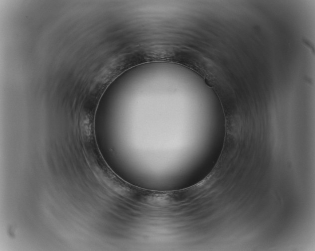 X0000101700086200807101547