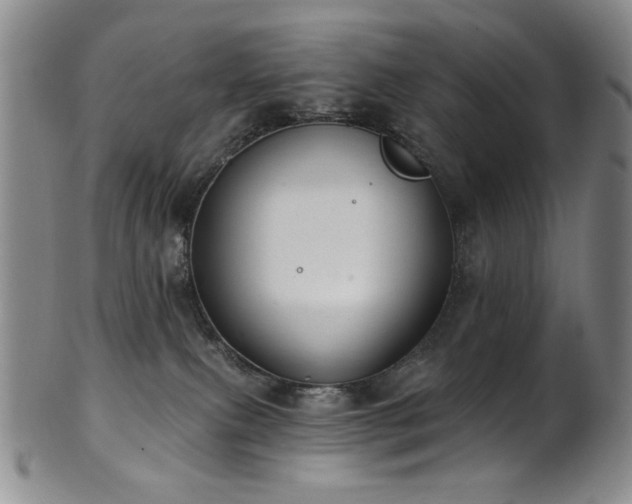 X0000101700087200807101547