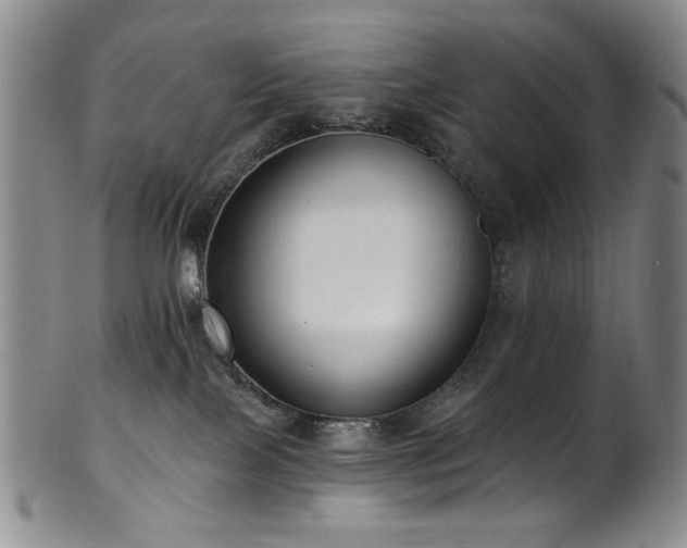 X0000101700089200807101547