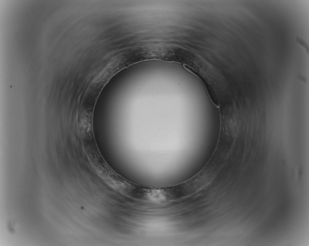 X0000101700091200807101547