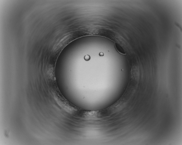 X0000101700092200807101547