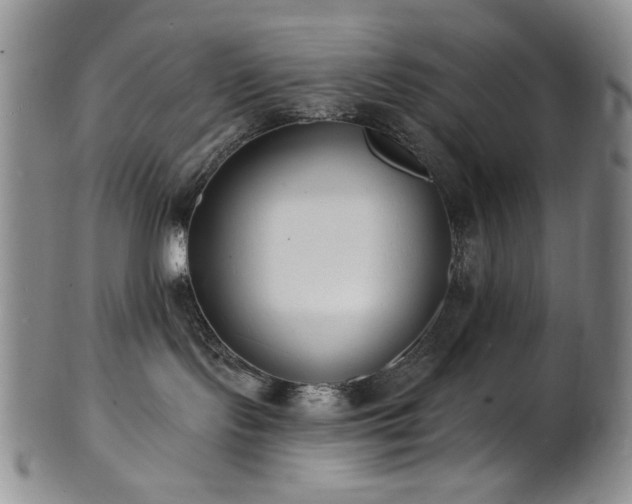 X0000101700095200807101547