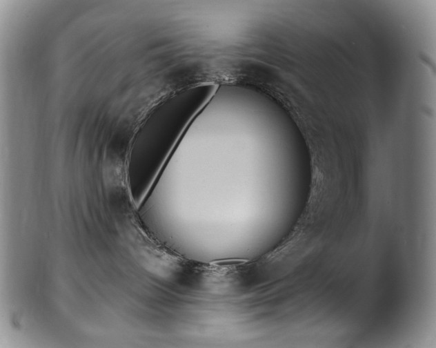 X0000101700096200807101547